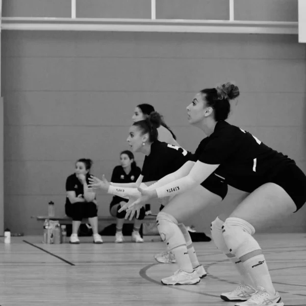 CLM Volley